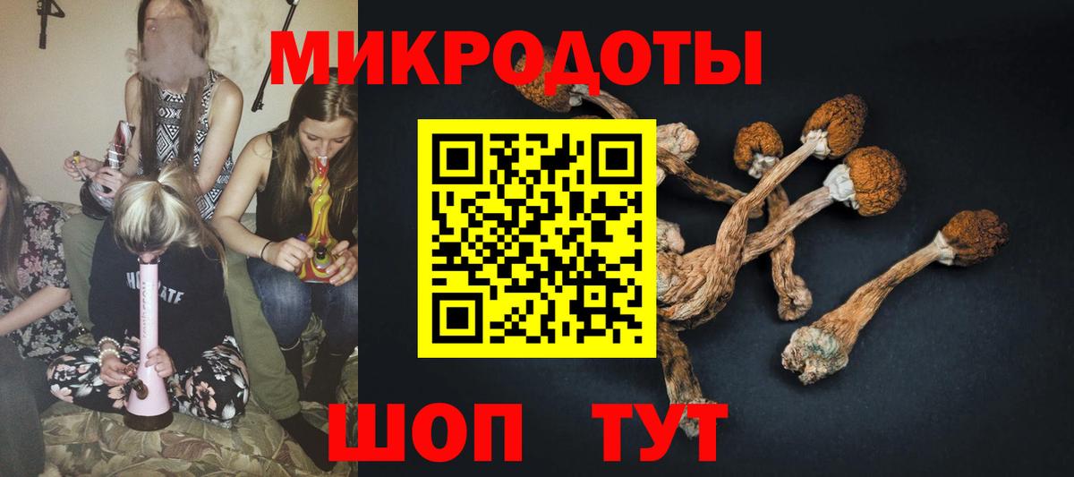 Галлюциногенные грибы прущие грибы  Вход с VPN  цена   Энгельс 